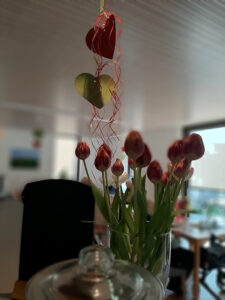 Gemütliche Atmosphäre mit Blumen – Eindrücke aus unserer Tagespflege in Westerstede